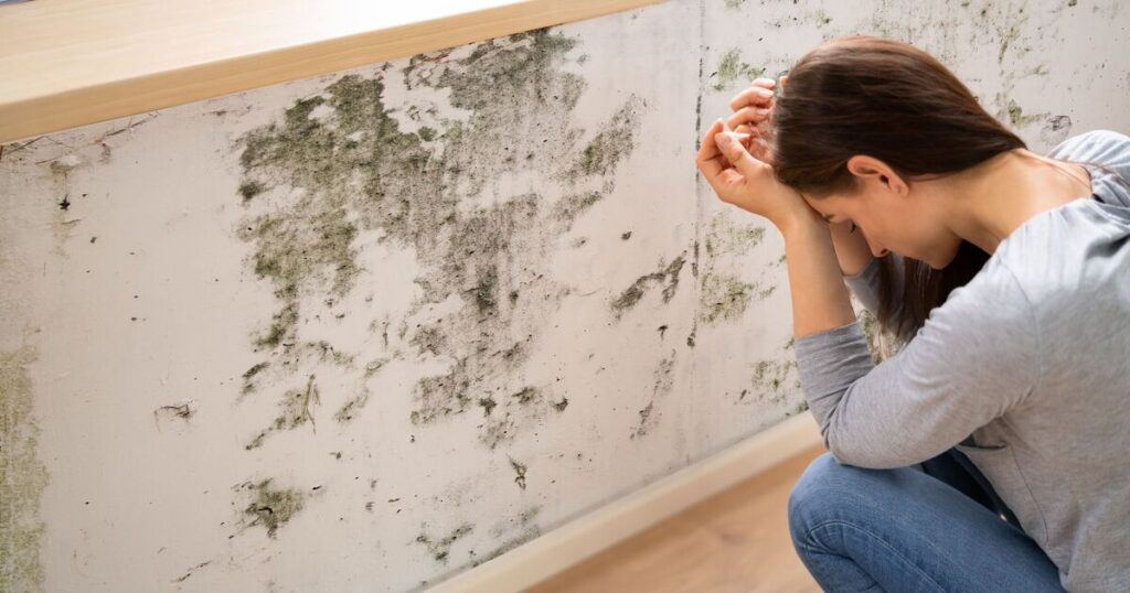 Common Mould Hotspots in Homes and How Experts Treat Them