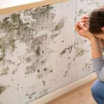 Common Mould Hotspots in Homes and How Experts Treat Them